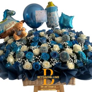 Baby Born Basket Ocean Boy