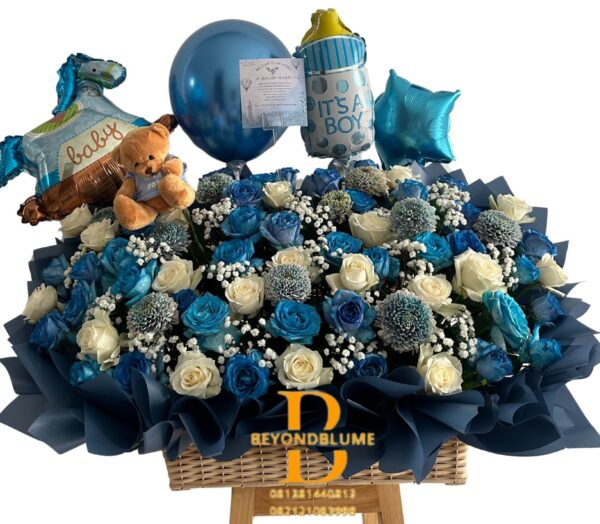 Baby Born Basket Ocean Boy