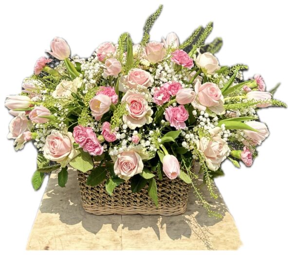 Flowers Baskets Tulip Ivanna